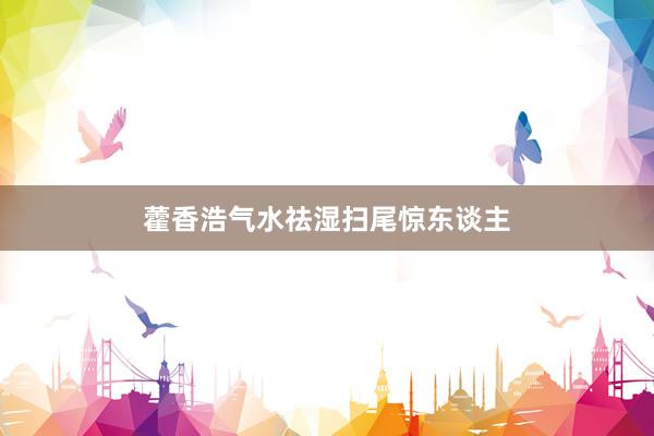 藿香浩气水祛湿扫尾惊东谈主