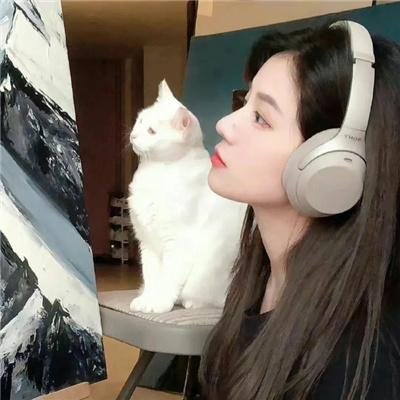 马男波杰克第二季